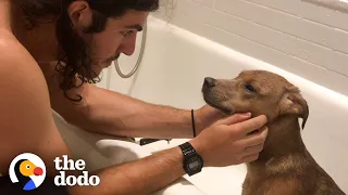 This Guy Found His Purpose After Rescuing A Dog | The Dodo Heroes