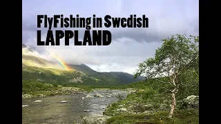 Fly fishing is Swedish Lapland | A OneFly petite merde Film