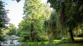 The Tiergarten Park: Green Berlin