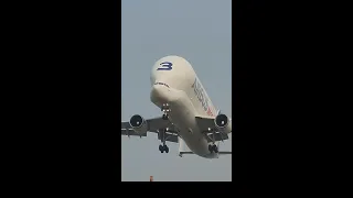 Airbus Beluga visits Mumbai for the second time !!! | A300-600ST Beluga