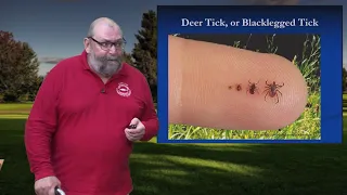 Tickology: Tick Identification and Ecology