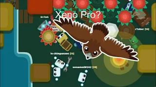 Starve.io - Kill Compilation + 5 mil Hs