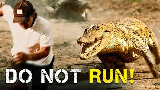 SHOCKING facts you didn't know about crocodiles