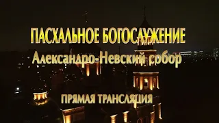 Прямая трансляция Пасхального богослужения из барнаульского Александро-Невского собора