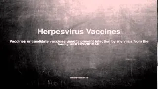 Medical vocabulary: What does Herpesvirus Vaccines mean