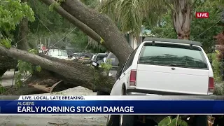 NWS starts assessing storm damage in Uptown, Algiers