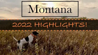 Montana- HIGHLIGHTS '22! Tons of action!