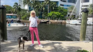 LIVE Walking Riverwalk Fort Lauderdale Florida w/Hudson the Dog July 15, 2023