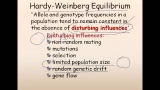 21. Population genetics (Hardy Weinberg equilibrium)