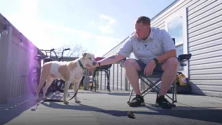 Loyal Pup Helps Veteran’s Family Grow Stronger | The Dodo