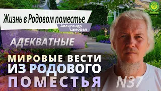 Мировые вести из Родового поместья 37 Адекватные