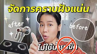 ขจัดคราบน้ำมัน เขม่าในครัว คราบตะกรัน เชื้อราห้องน้ำด้วยของ DIY ในบ้าน | BEAUTY MOUTHSY