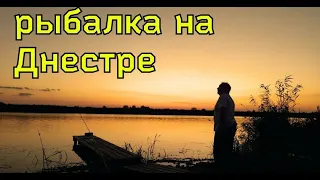 Тайны рыбалки на Днестре: Удивительная природа и эффективные методы ловли