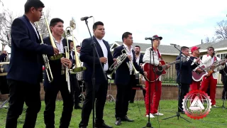 T3R Elemento Ft Banda Real De Sinaloa - Rafa Caro - En Vivo - 2017
