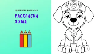 Раскраска Щенячий патруль / Зума / Видео для малышей / Карандаши
