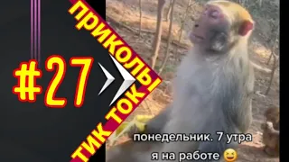 лучшие приколы Тик Ток #27