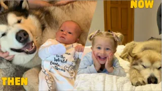 The Best 3 Years Of Our Lives! Amelia's Story (Cutest Glow Up Ever!!)