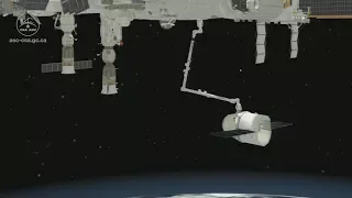 Animation of Canadarm2 catching and berthing SpaceX’s Dragon