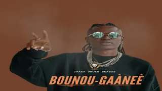 Bounou Gaàneè afro djola free instrumental by caasa under beats typs   Kaby king casa  2023