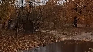 Сколько стоят дома в белорусской деревне.Обзор домов.Гроза и молния в октябре#однавдеревне#всёсама.