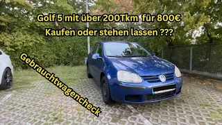 Golf 5 1.4er mit über 200Tkm - Gebrauchtwagencheck / Kaufberatung - gutes Anfänger Auto unter 2000€