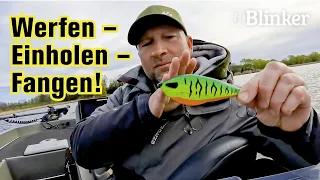 Der einfachste Hechtköder überhaupt: Jerkbait für die Spinnrute