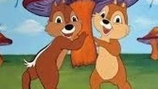 Donald Duck & Chip and Dale Compilation ｡◕‿ Popcorn Cartoons Movies Full episodes Hd Disney Funny