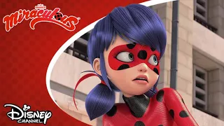 👨‍🍳 Családi nézeteltérés | Miraculous | Disney Csatorna