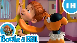 📽 Boule et Bill veulent être des stars 😎- Nouvelle compilation Boule et Bill FR