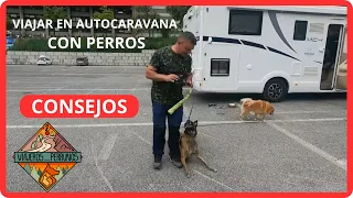 consejos para Viajar en Autocaravana con perros    #viajeros_perrunos