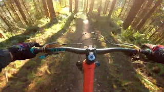 Dog Wash | Tokul West MTB | Fall City, WA