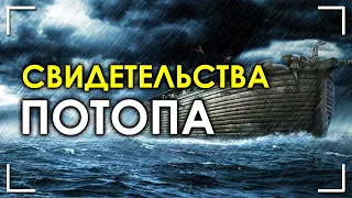 Свидетельства потопа. Александр Воронцов