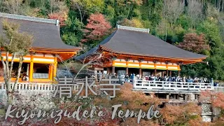 🇯🇵 Kiyomizu-dera temple is one of the most celebrated temples of Japan 🇯🇵