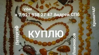 КУПЛЮ ДОРОГО ЯНТАРНЫЕ БУСЫ ЯНТАРЬ БРАСЛЕТ ИЗ ЯНТАРЯ БРОШЬ КУЛОН ПЕРСТЕНЬ СЕРЬГИ ЗАПОНКИ СЕРЕБРО СПБ