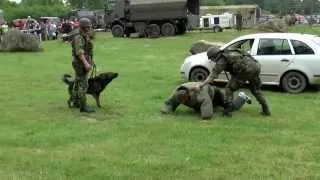 Ukázka výcviku služebních psů, Centrum vojenské kynologie Chotyně, Lešany, 2014
