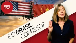 China x EUA: O que o Brasil ganha e perde com a guerra comercial