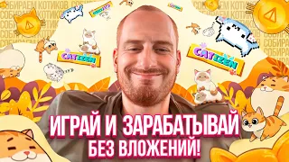 CATIZEN. Играй и зарабатывай без вложений. САМАЯ быстрая прокачка аккаунта. Пошаговый гайд.