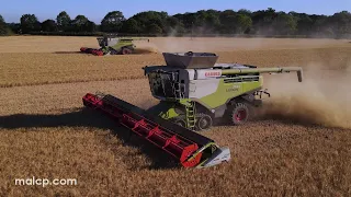 Harvest 2022: Two Claas Lexion 780 TT combines cutting spring barley in Blythburgh, Suffolk