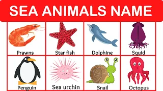 Sea Animals Names for Kids - Fishes Name - Learn Fish Name - Different Types of Sea Animals