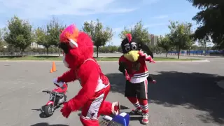 Benny The Bull, Tommy Hawk & Travis Pastrana