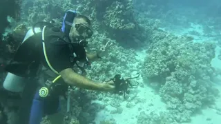 El Fanar Sharm El Sheikh Scuba Diving