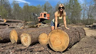 You Sawed that GIANT log into WHAT??!