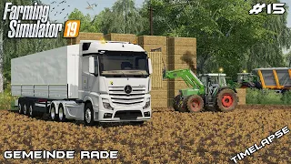 Selling straw bales & selling grain | Animals on Gemeinde Rade | Farming Simulator 19 | Episode 15