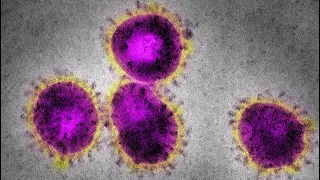 Nuevo Coronavirus SARS-CoV-2 Origen y biología - Dra. Flor Pujol