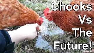 Chickens Vs Food Forcefield with Commentary!