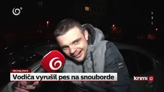 Vodiča vyrušil pes na snouborde (NOVINY TV JOJ)