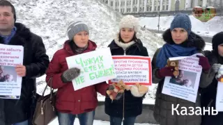 13.12.2015 пикеты за будущее Матвея