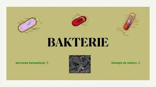 #7 Bakterie i archeowce - matura z biologii 🦚 darmowe korepetycje 💴 biologia w liceum