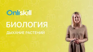 БИОЛОГИЯ 6 класс: Дыхание растений