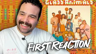 Glass Animals - How To Be A Human Being (FIRST REACTION)